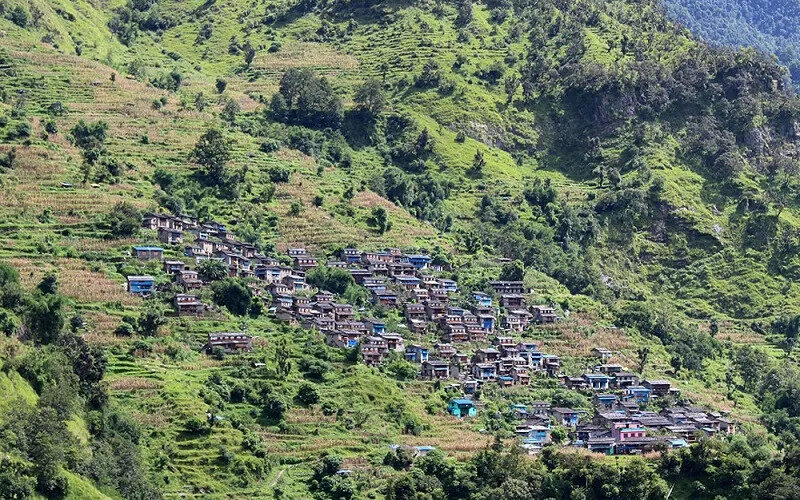 बसाइँसराइले रित्तिदै गाउँघरः झाडी भए आङ्गन र पिँढी