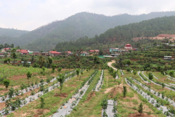 बजेटमा कृषिका नयाँ कार्यक्रमहरु